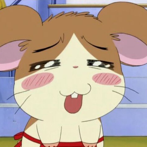☪︎ₗ̥̊𝓇 绮
