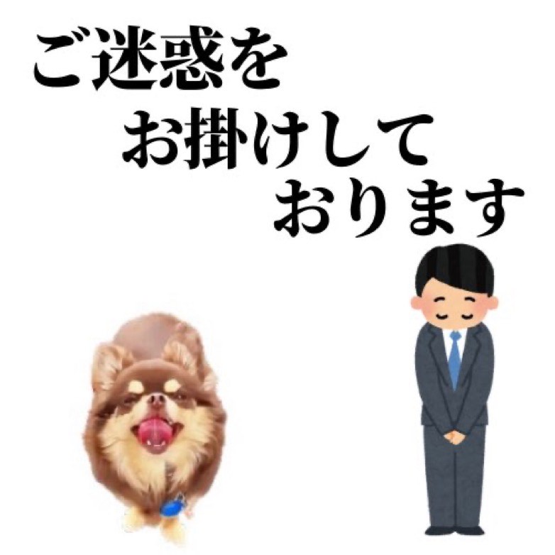 これ俺！₹ʖˋーƕ