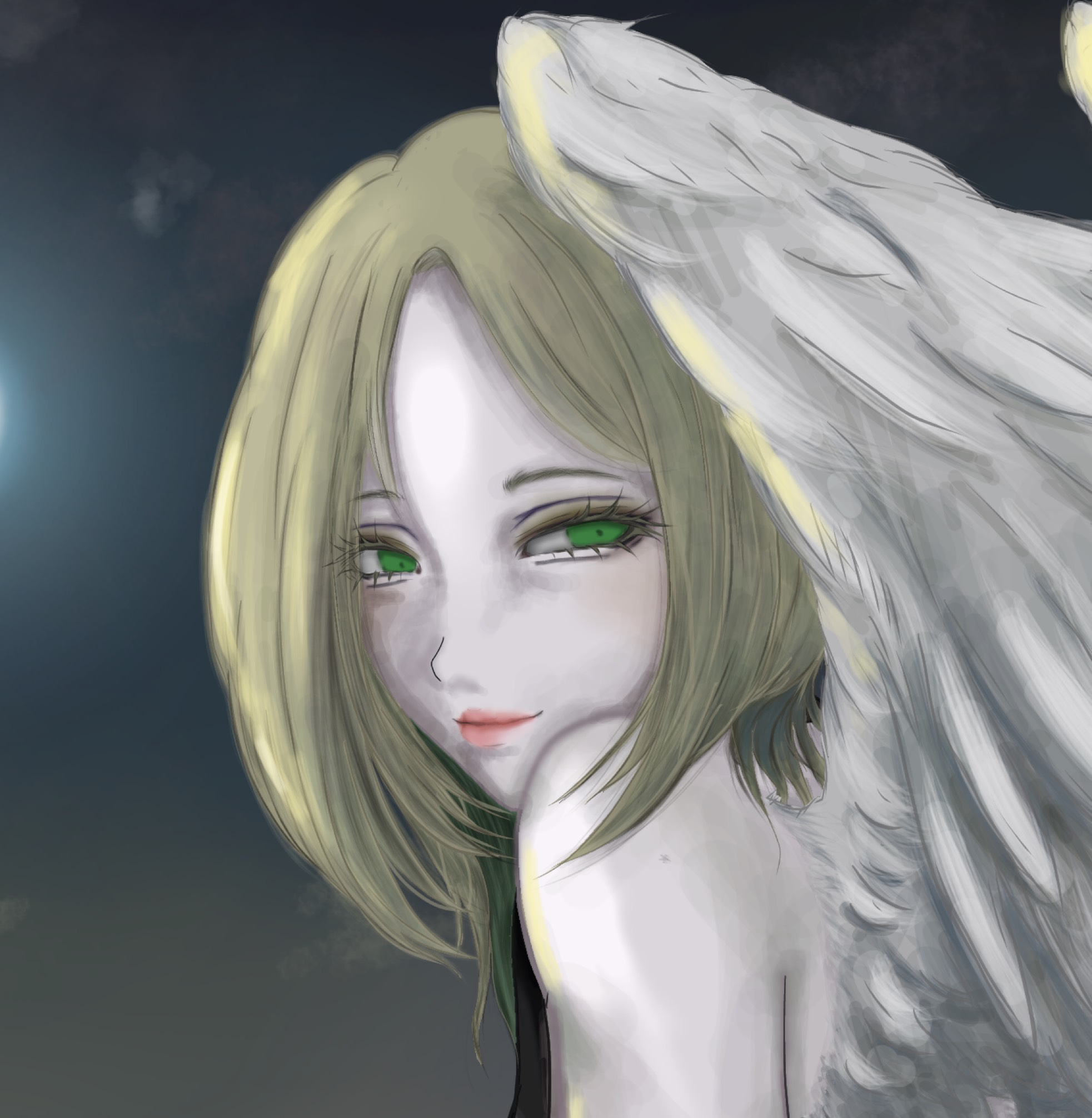 月 華.