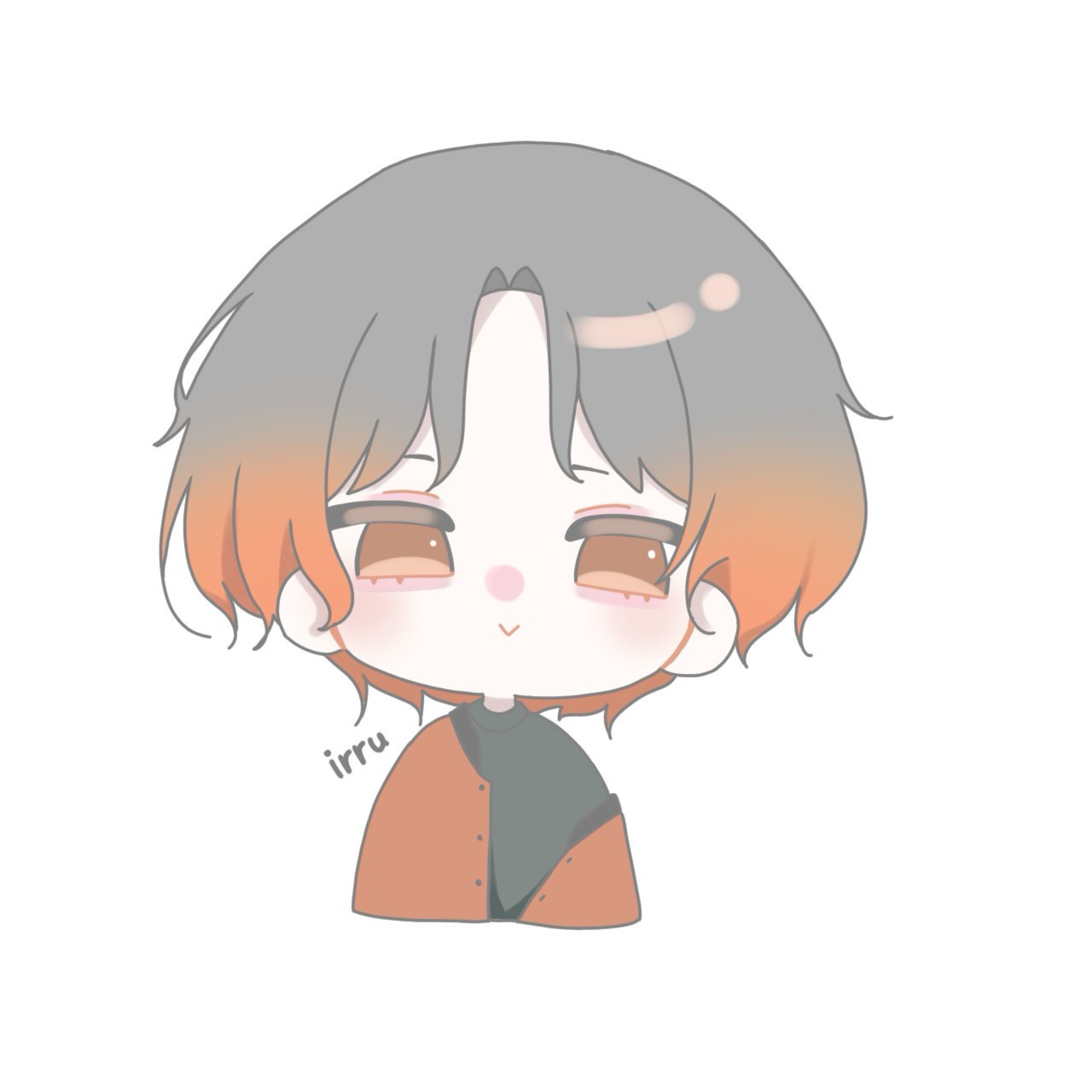 irru: