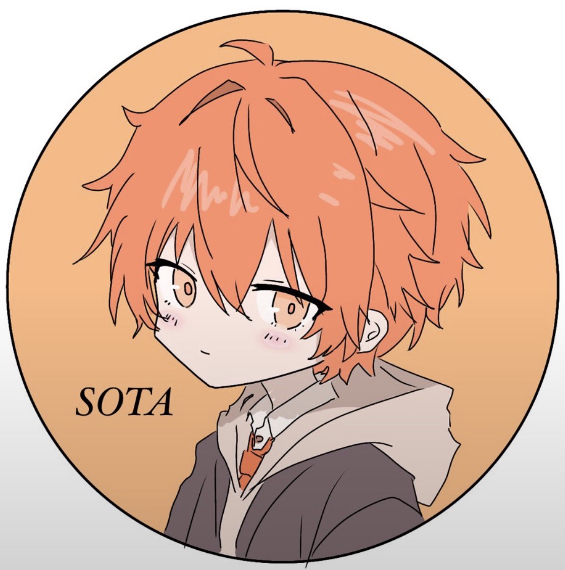 SOTAðŸ