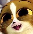 ひろ