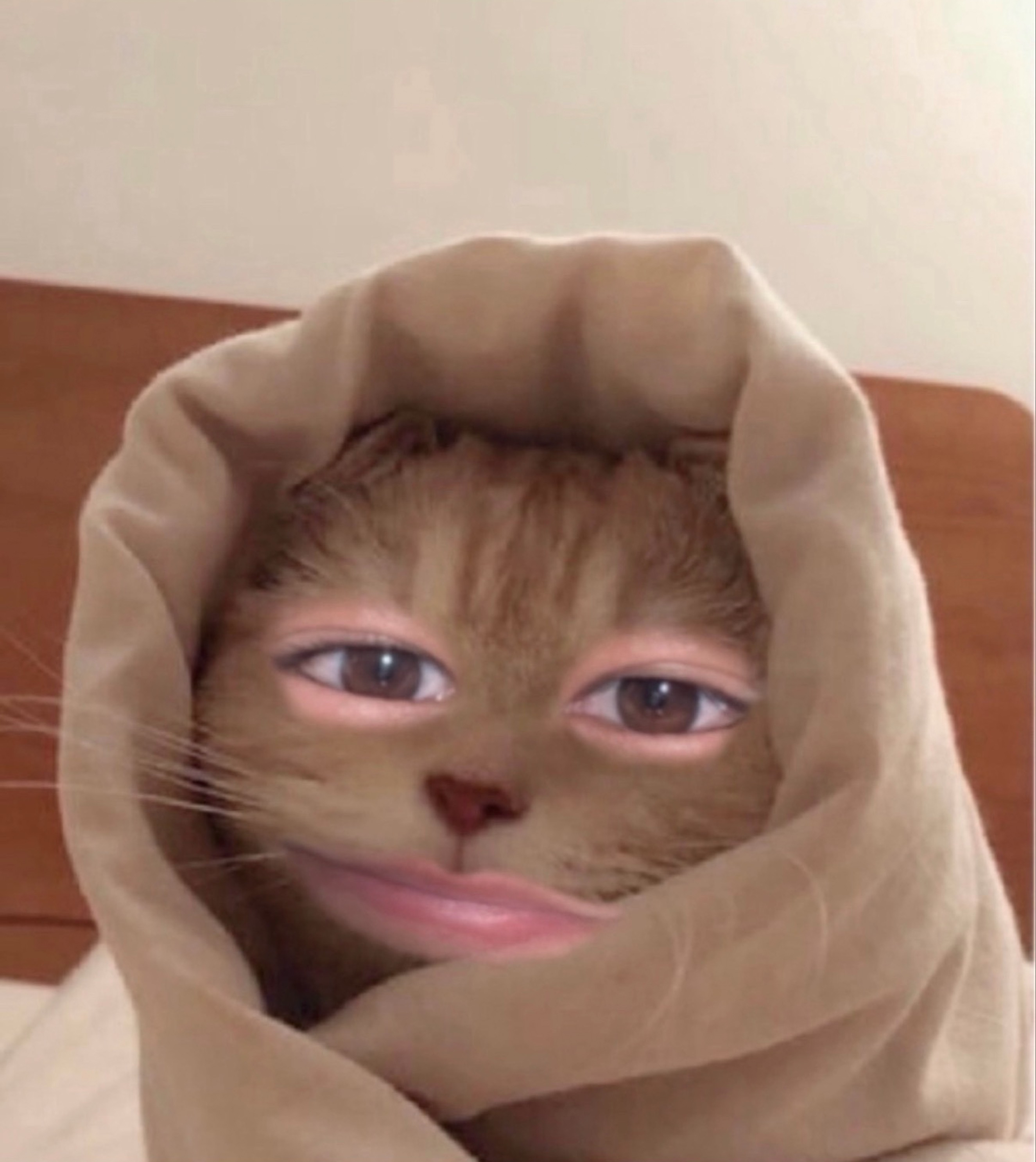 しん