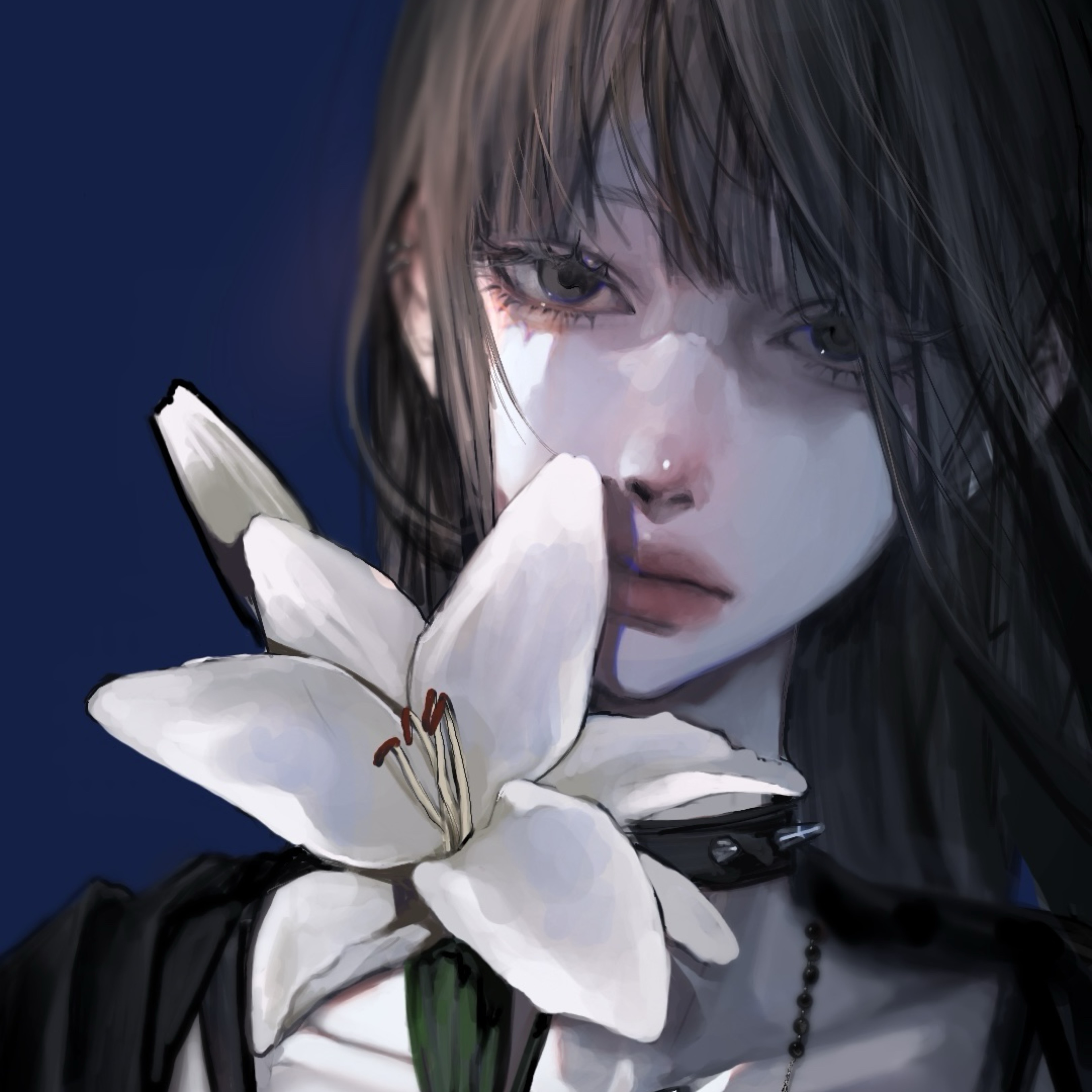 貓
