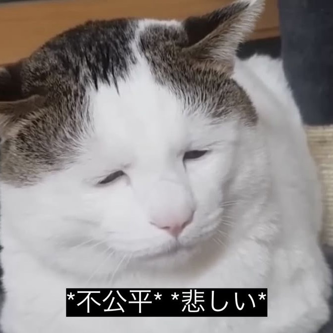  ︎︎ ︎︎