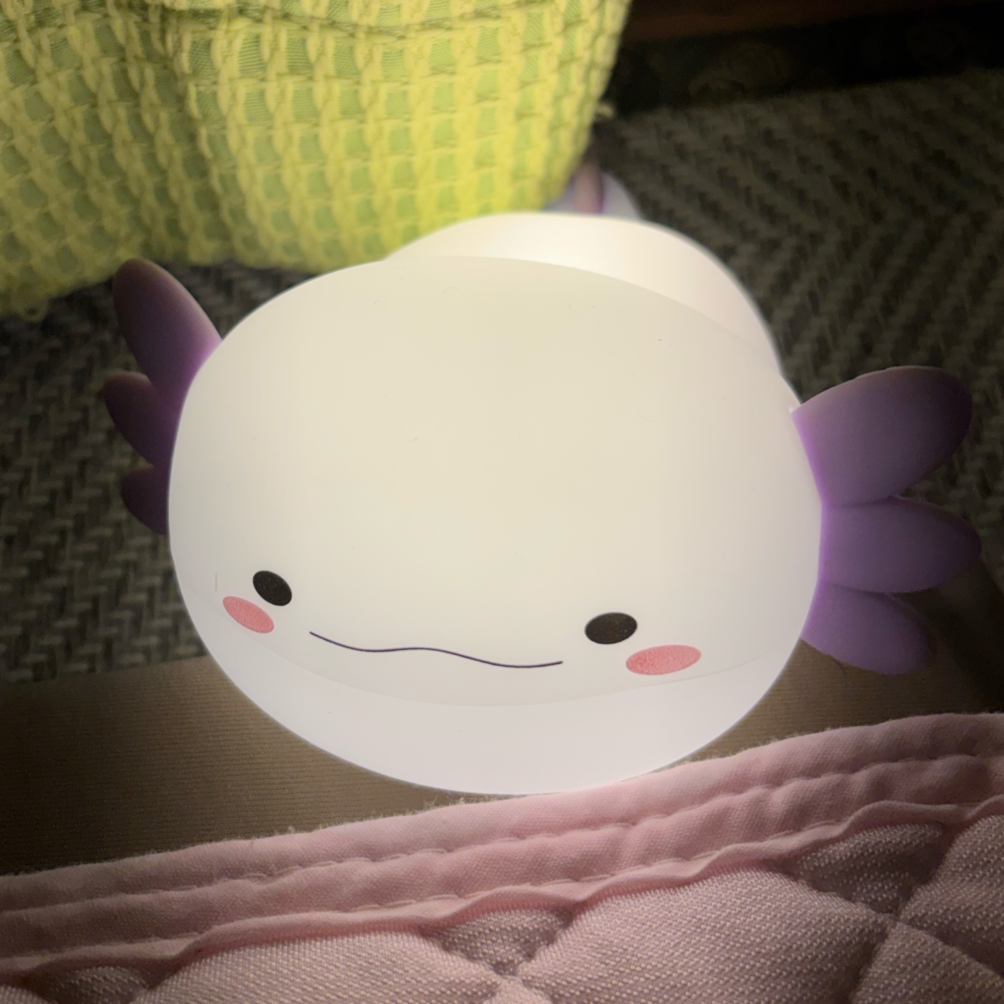 ðð¿ Êžáµá¶»áµ