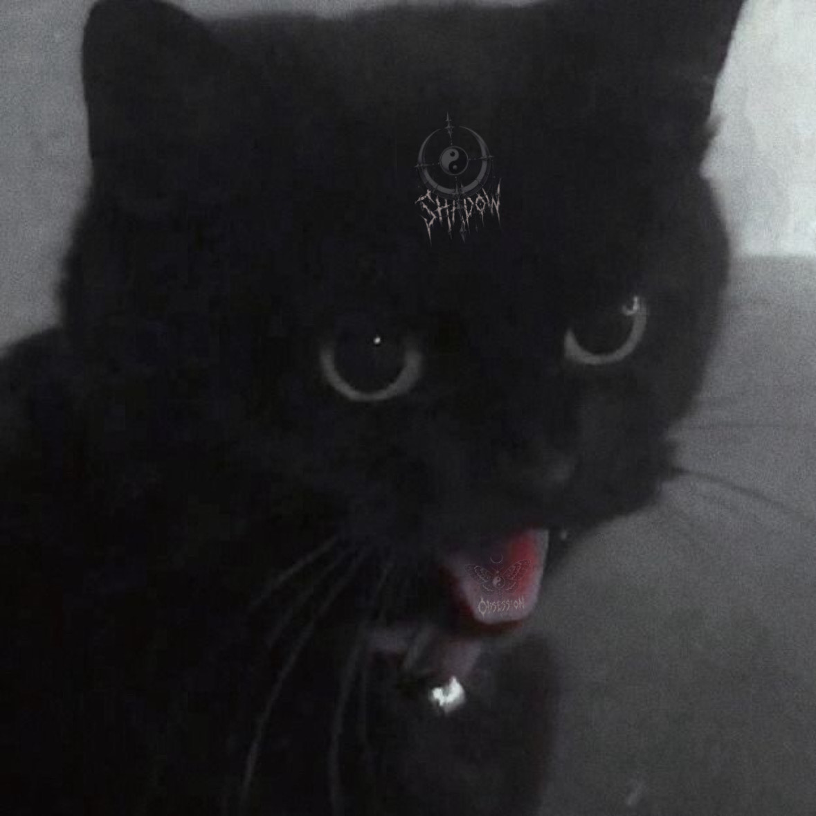 ð§ð¢ð