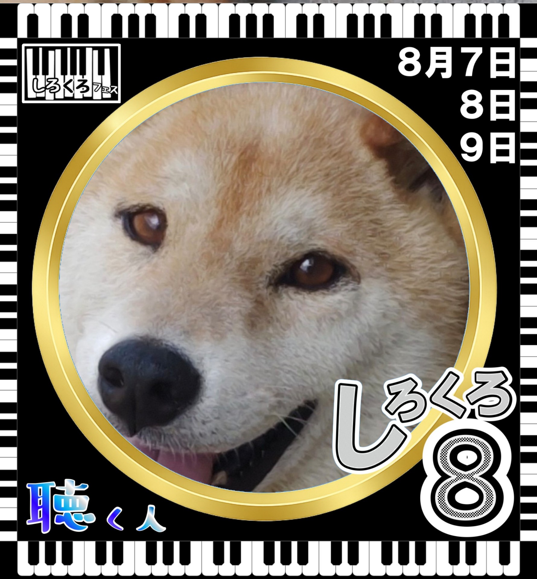 うさまめ 