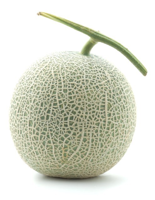 ð®â.æ±é²