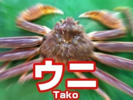 ʚ˙꒳​˙ɞ⸒⸒ナガミ