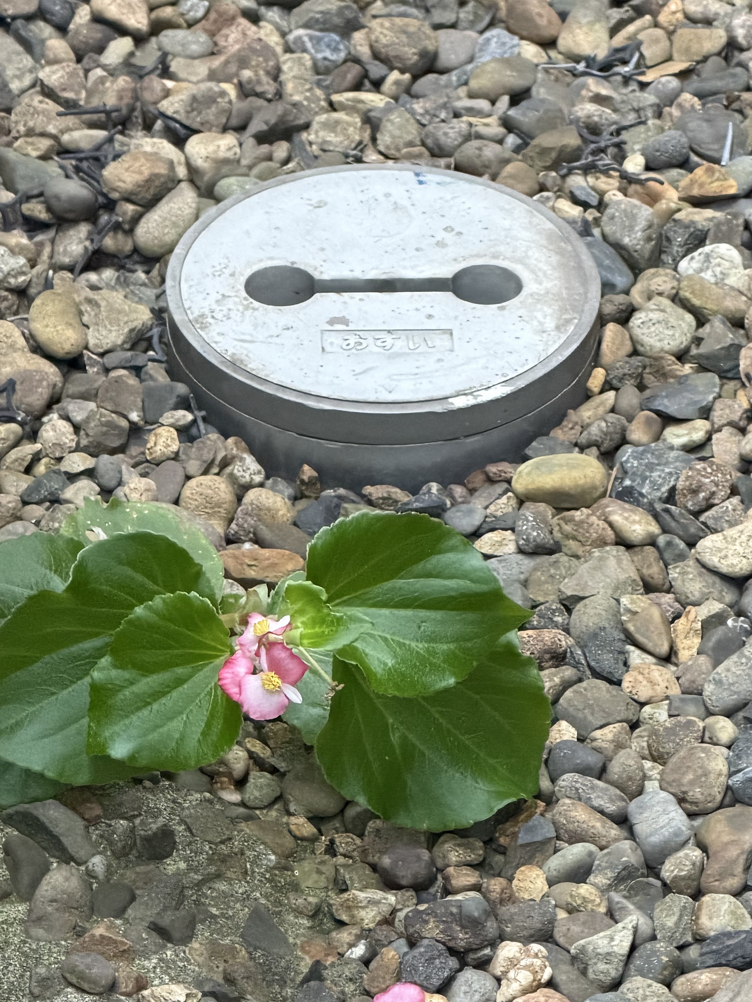 かる