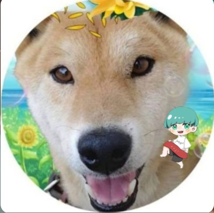 うさまめ 