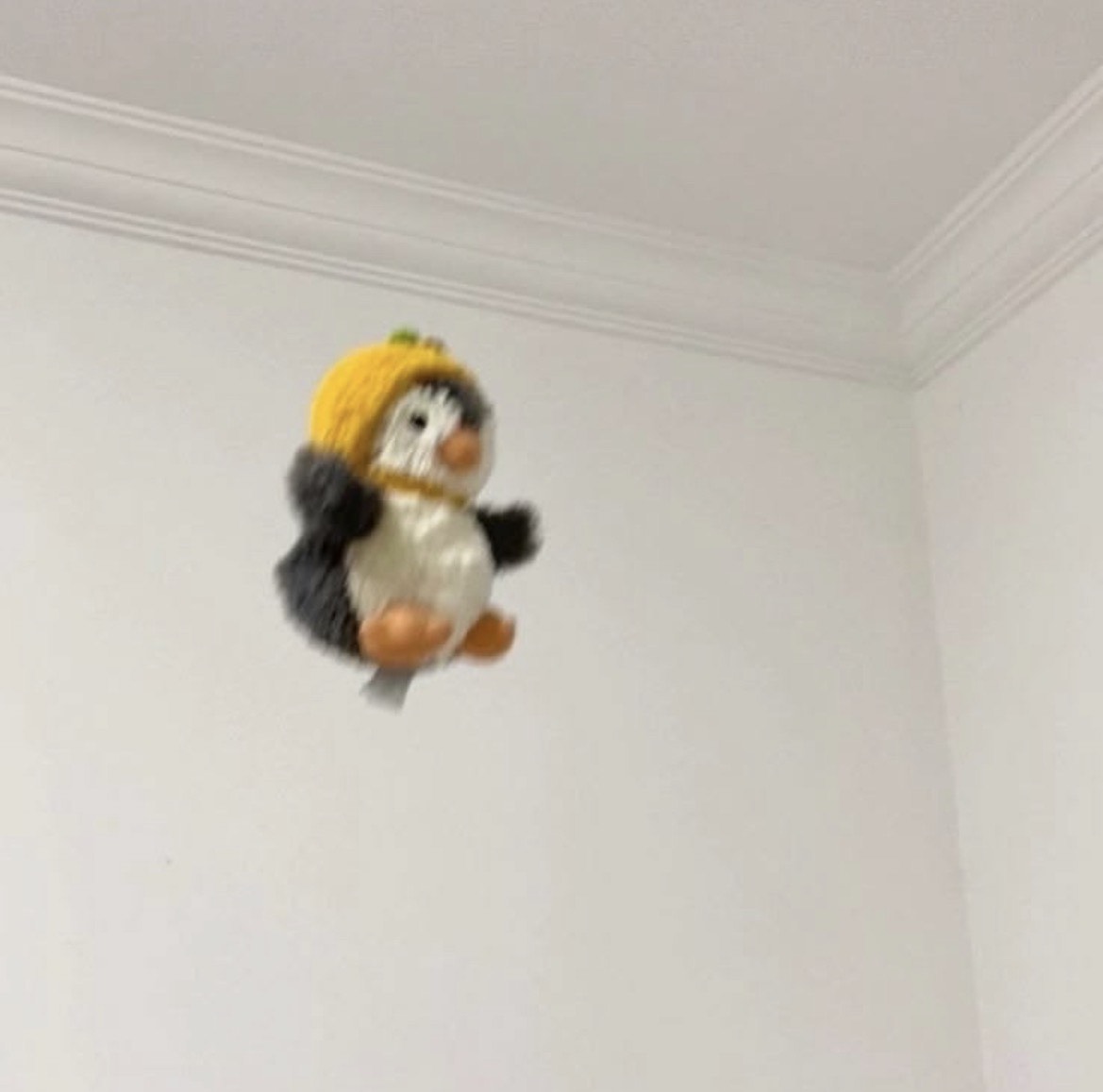 ァォ