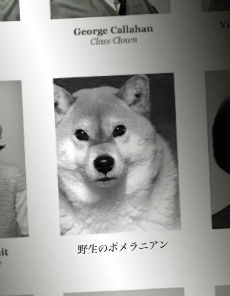 椎名