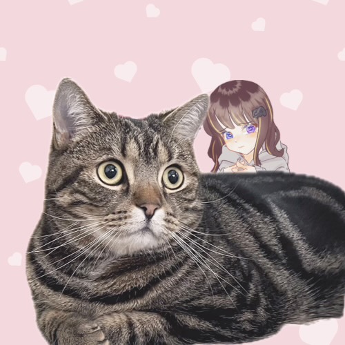 なこ