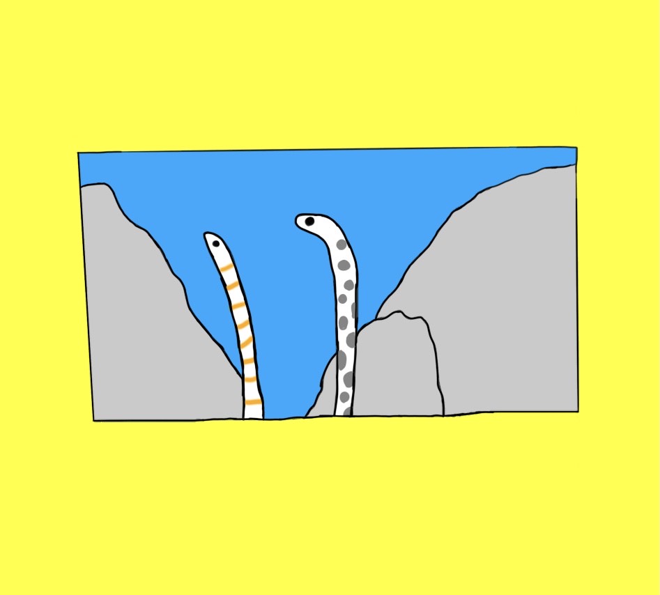 すずこ³(すずめ)