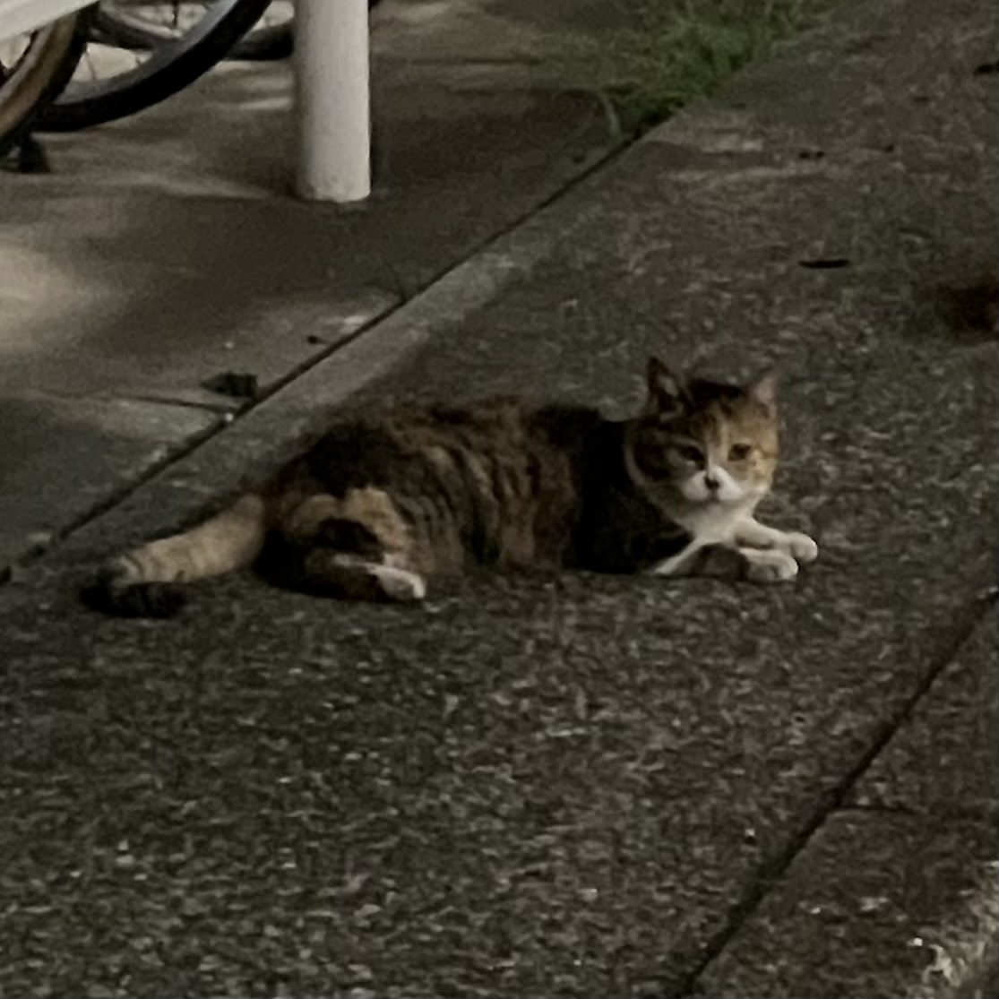 キキ