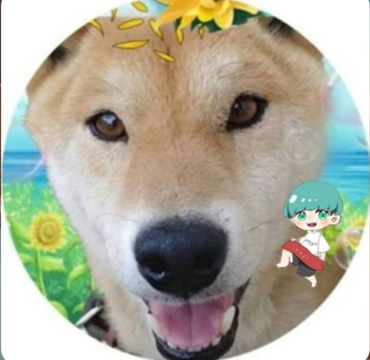 うさまめ 