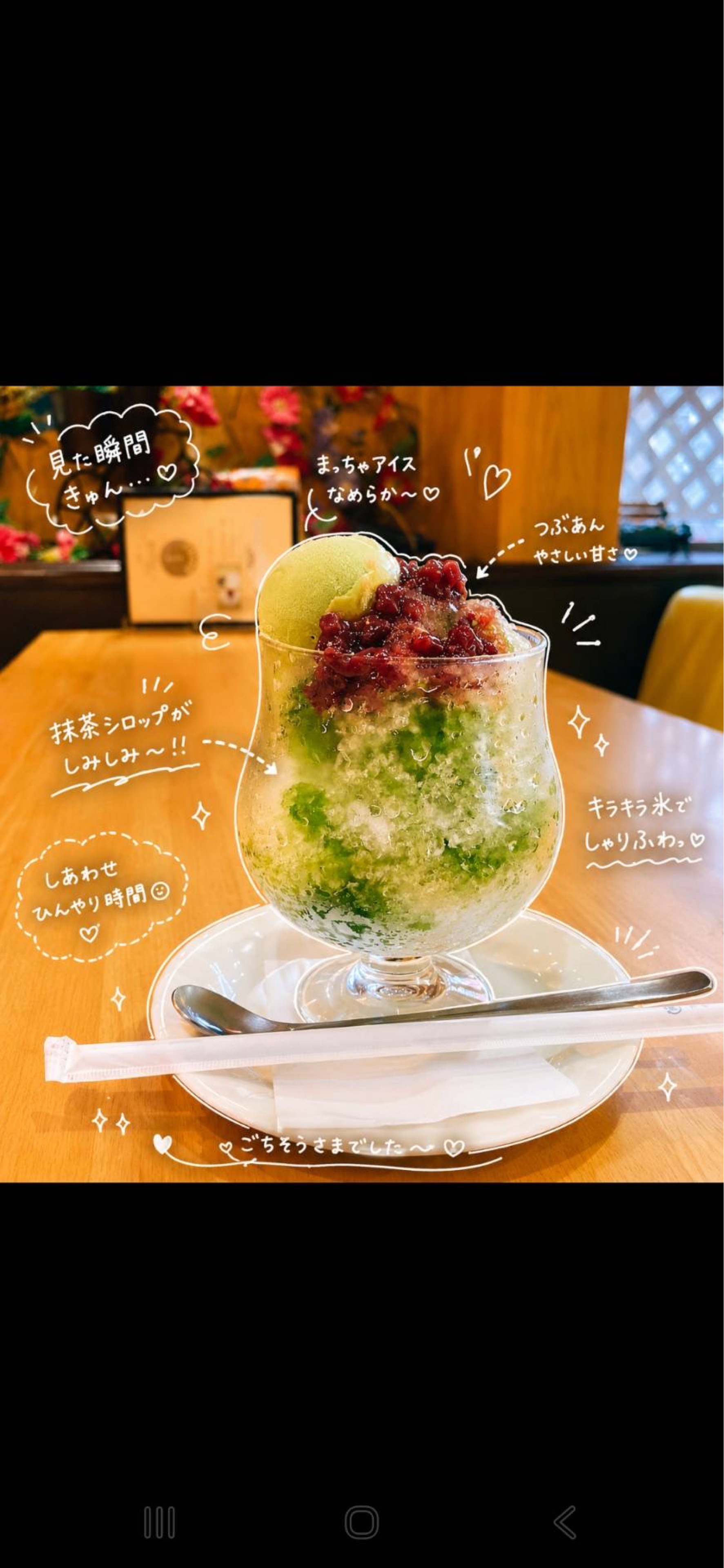 木っ端みじんこちゃん