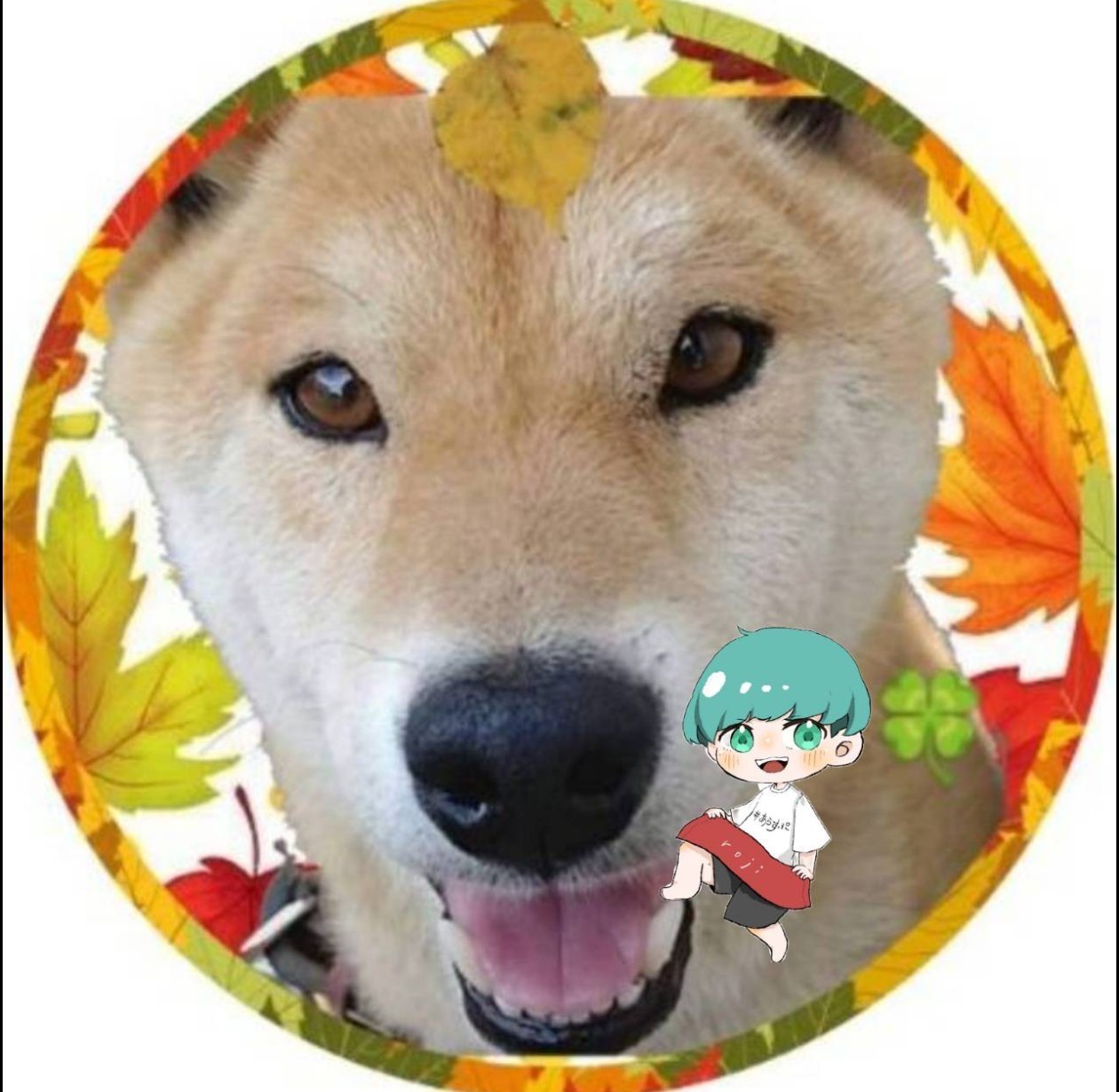 うさまめ 
