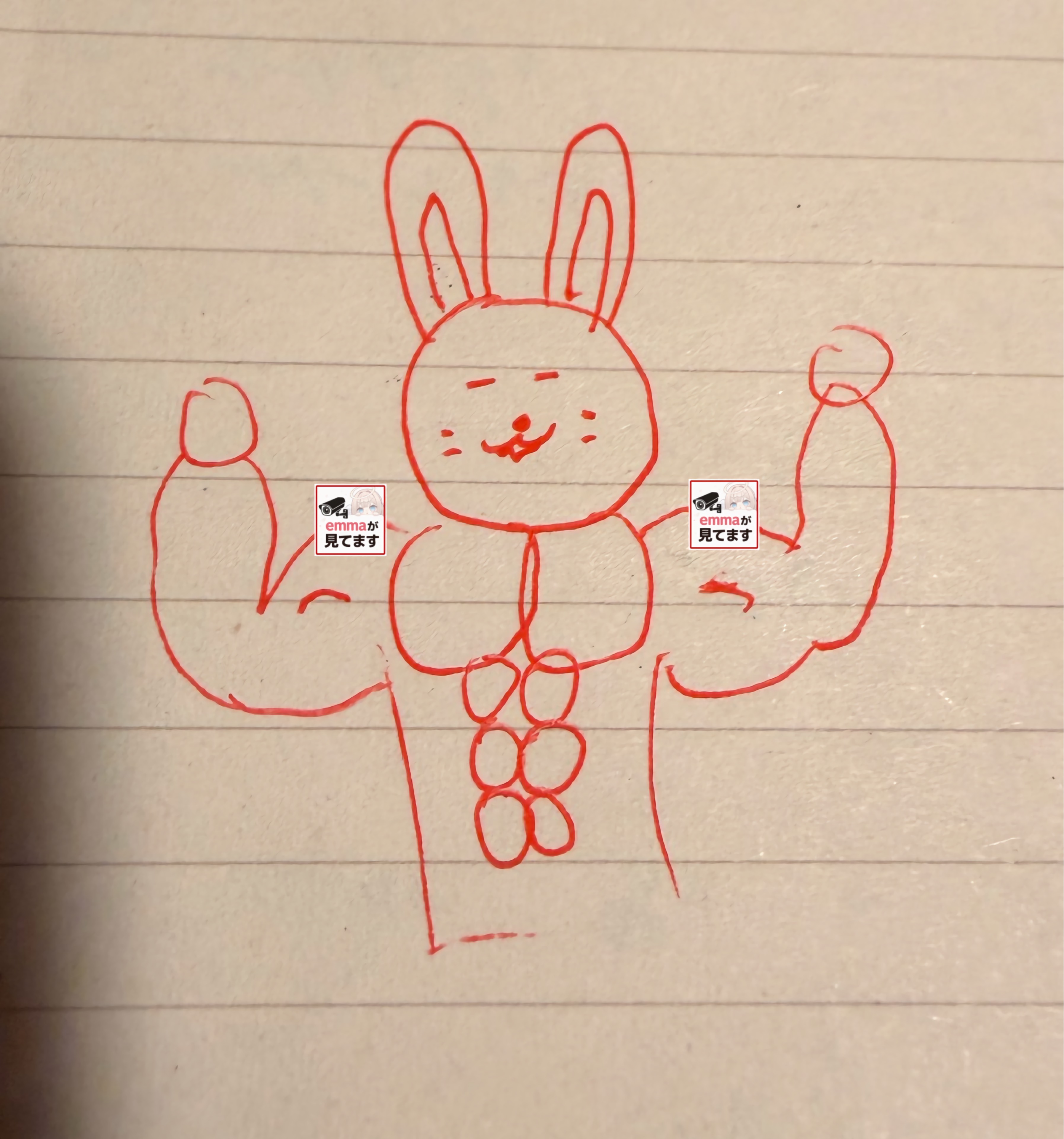 うさうさマッチョリෆᵉ·̩͙