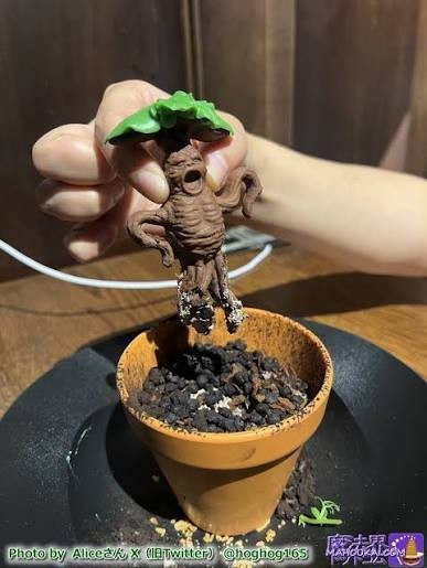 ど ら ど ら 