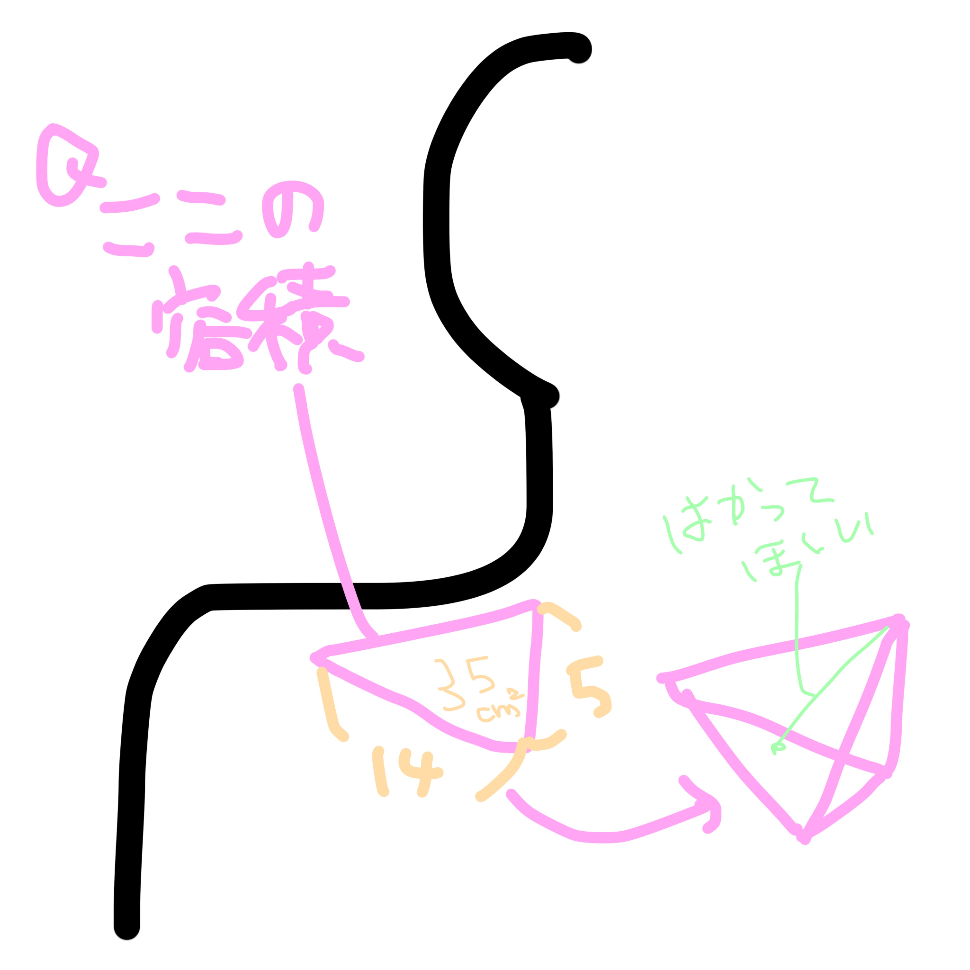 サナダ