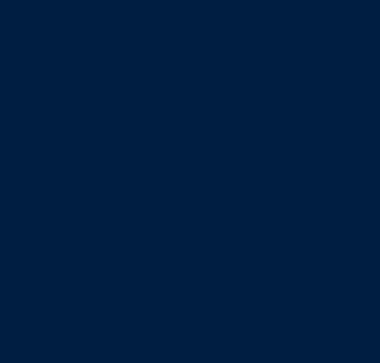 Navy.