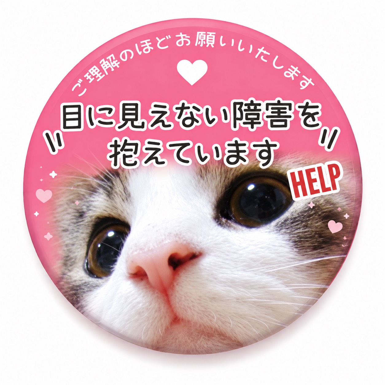 ふみにゃ（うたが好き🐱）