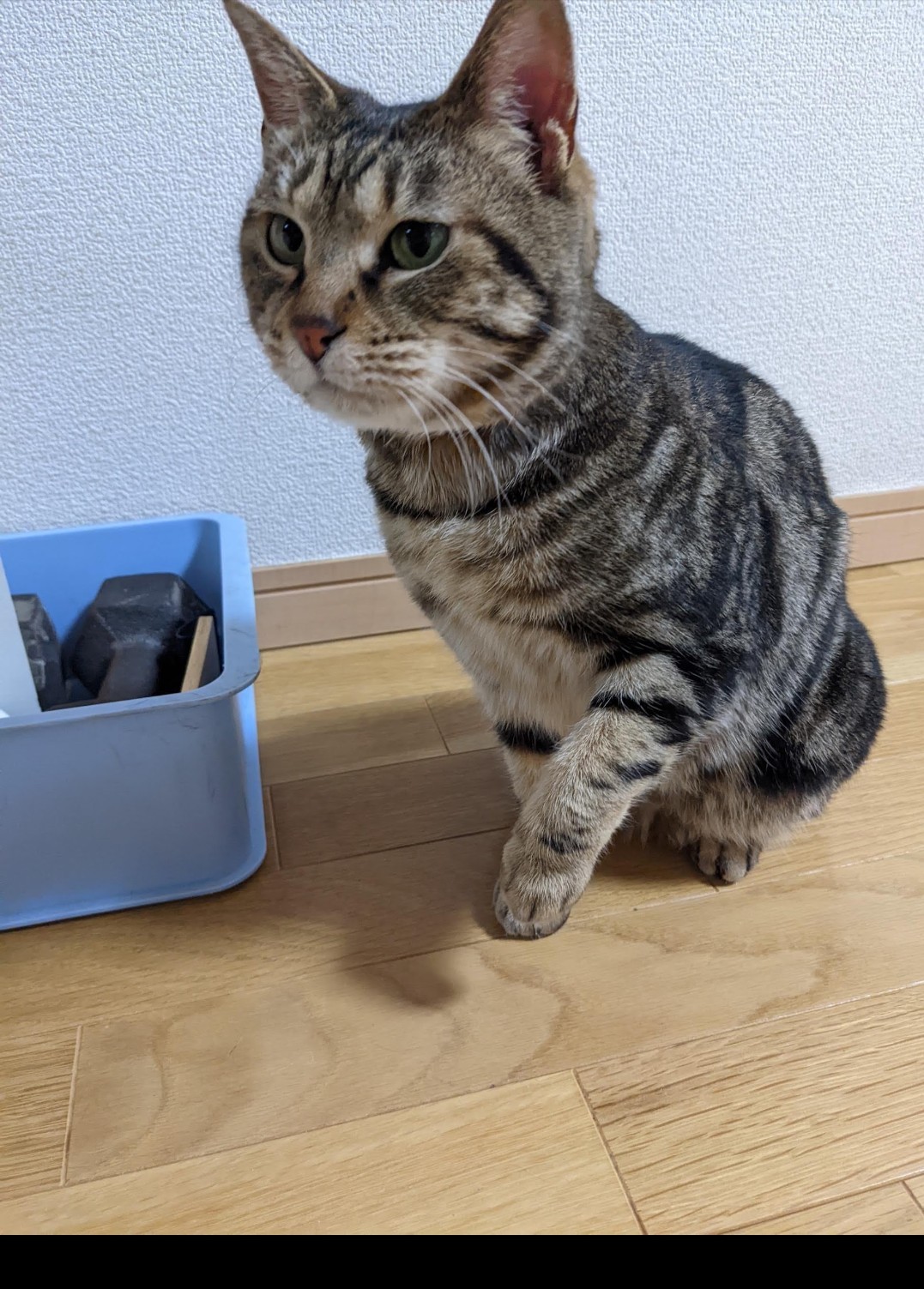 むぎ🍷🍉