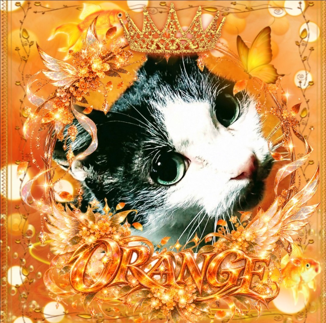なよよᴴ❀ᴿ ·͜·☀︎ͨ🍊