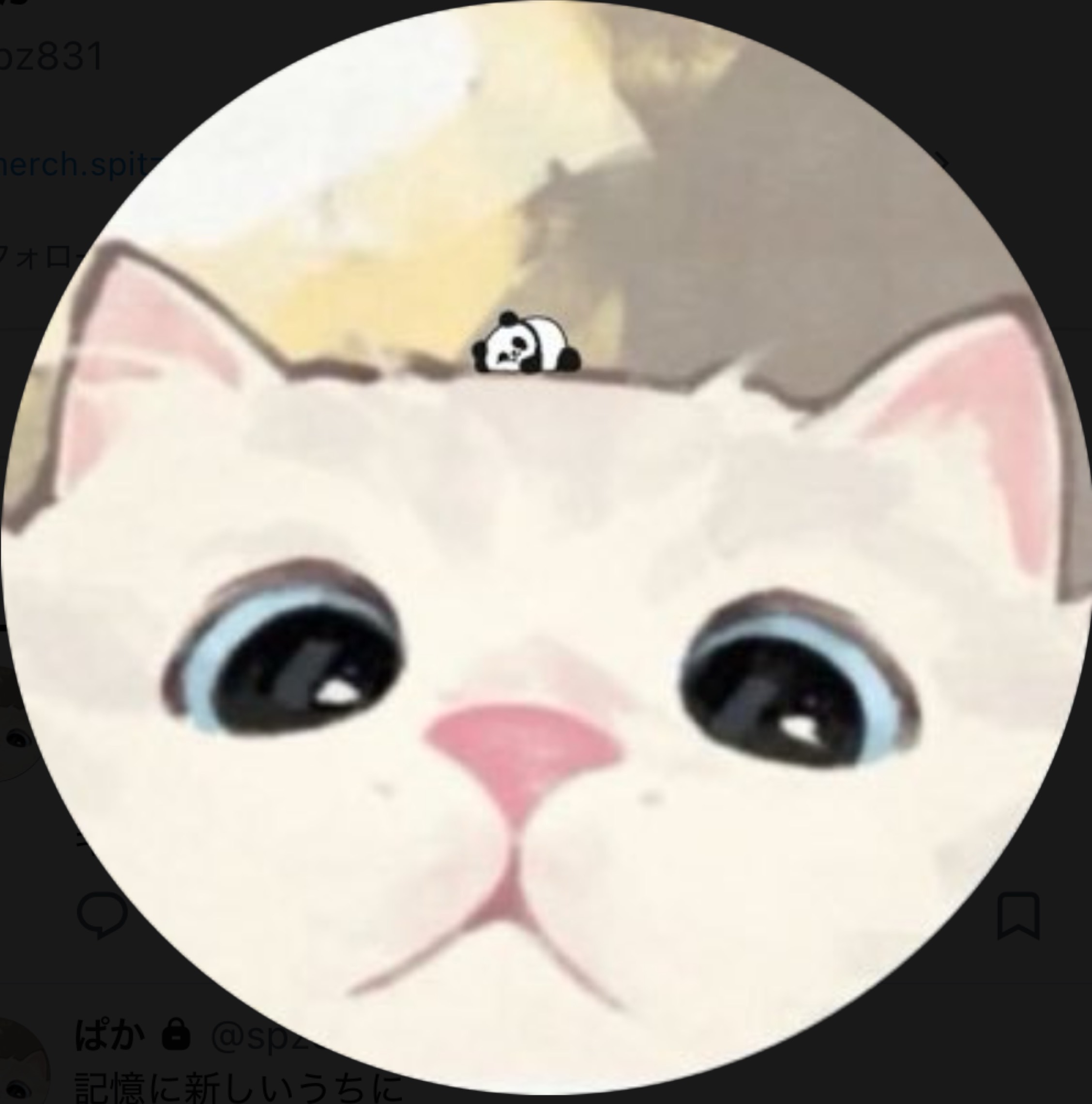 ぱか