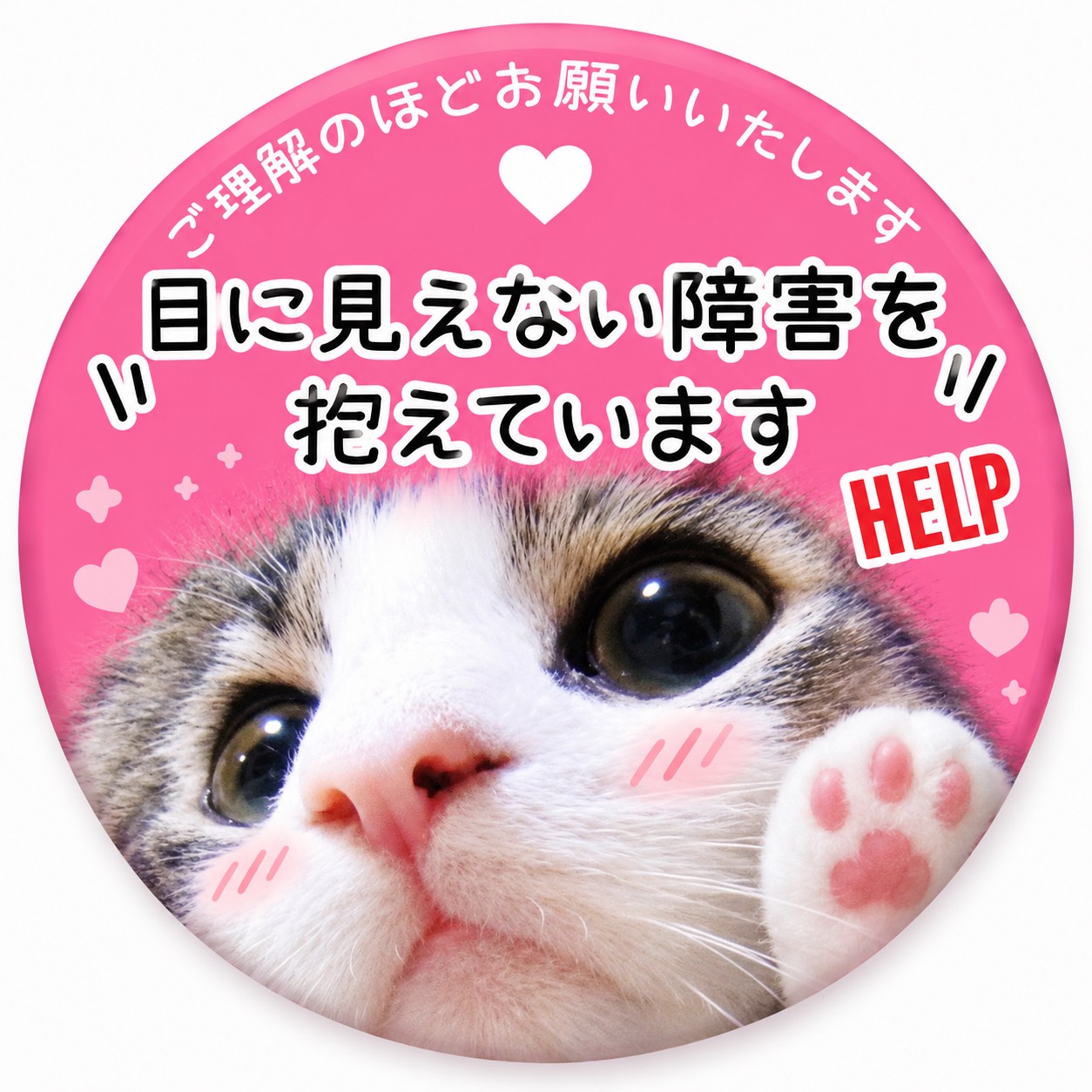 ふみにゃ（うたが好き🐱）