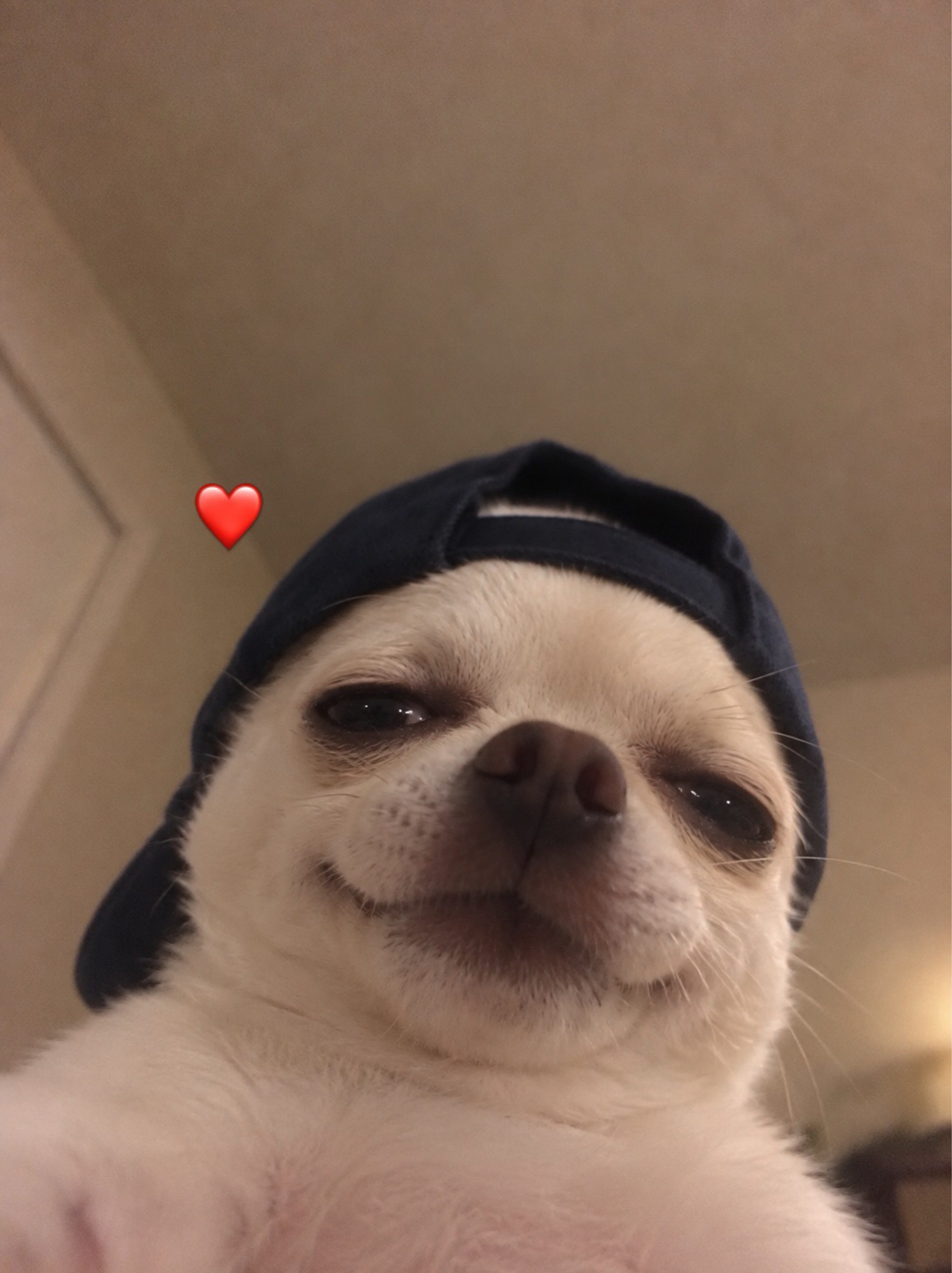 aichan