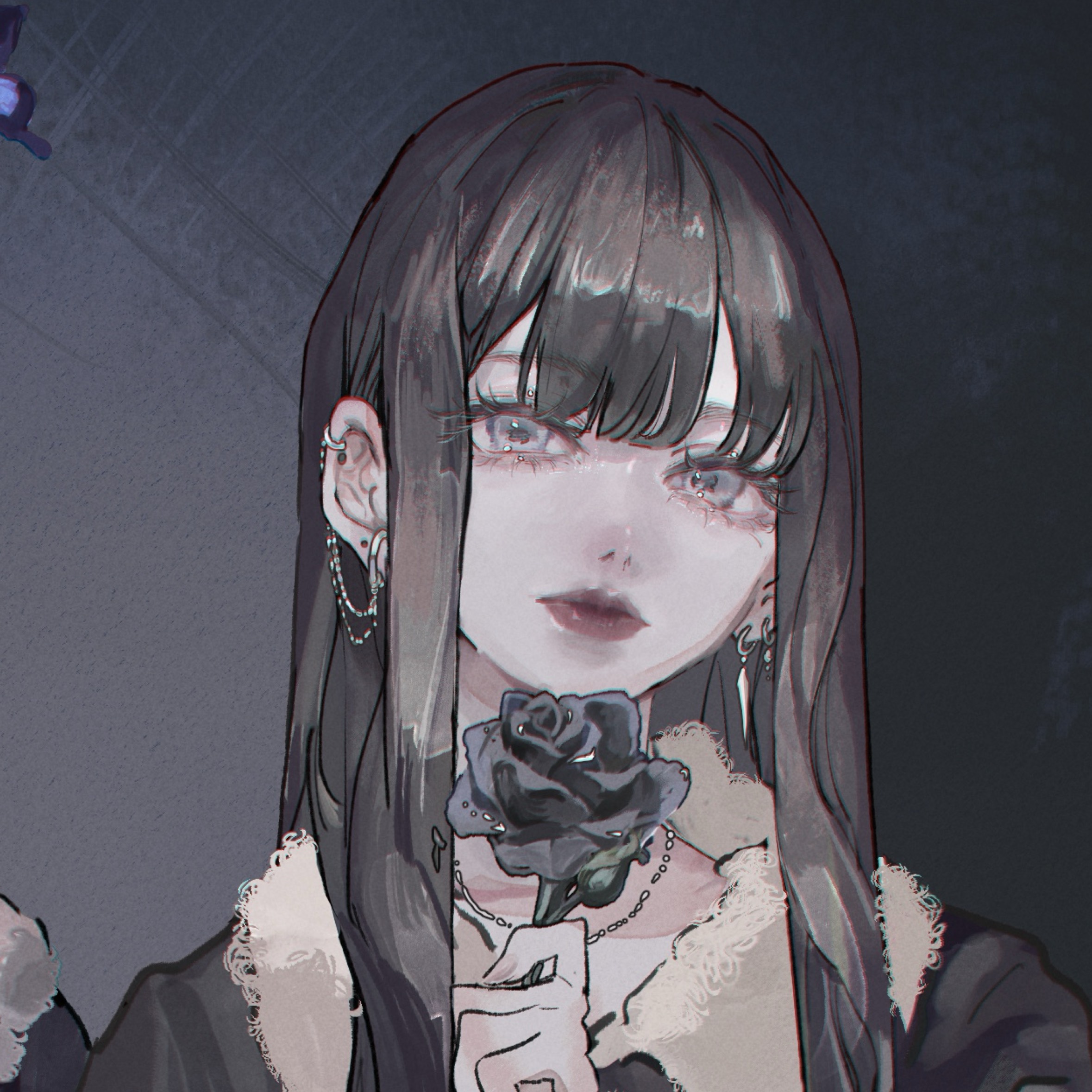 貓