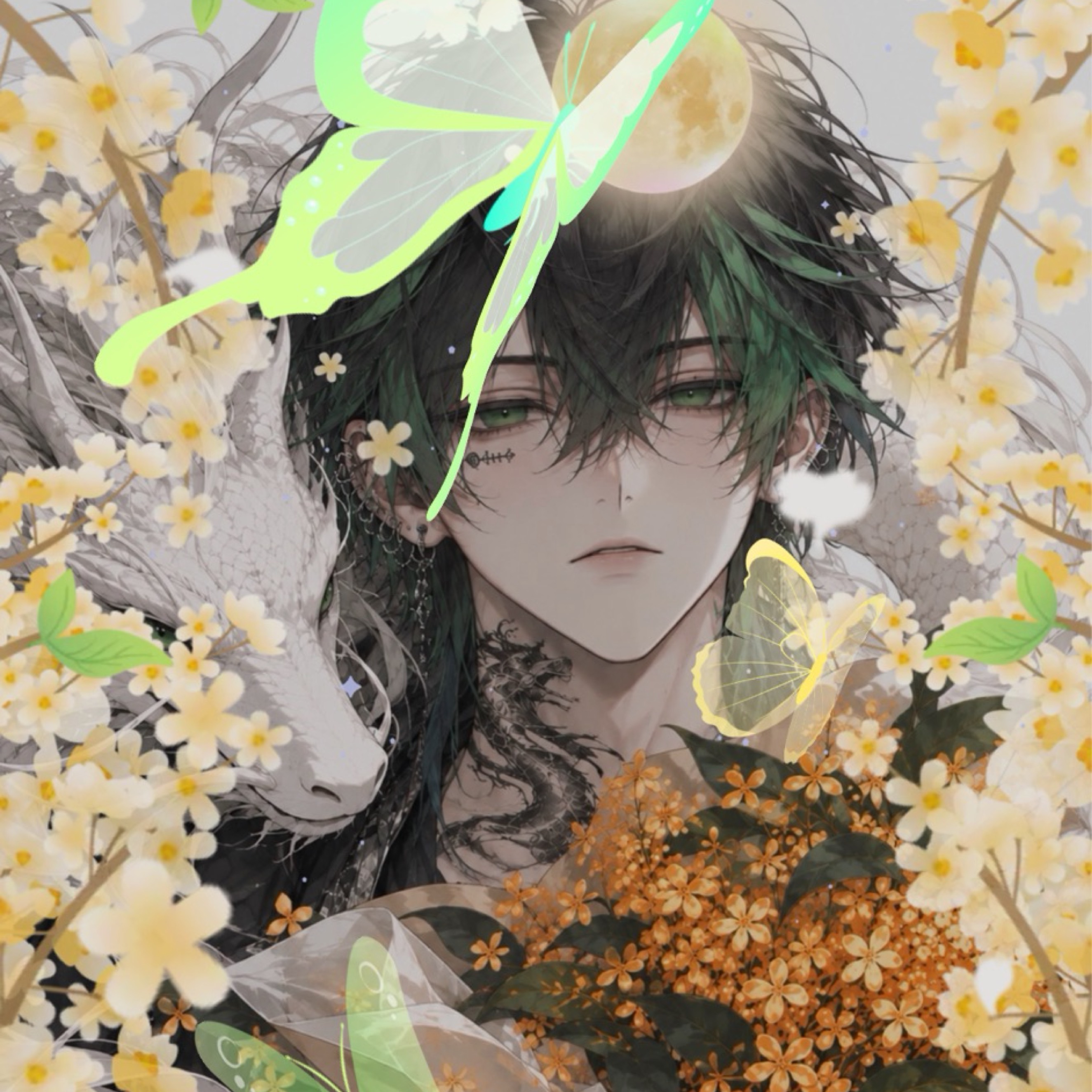 ₘ🐉 心優