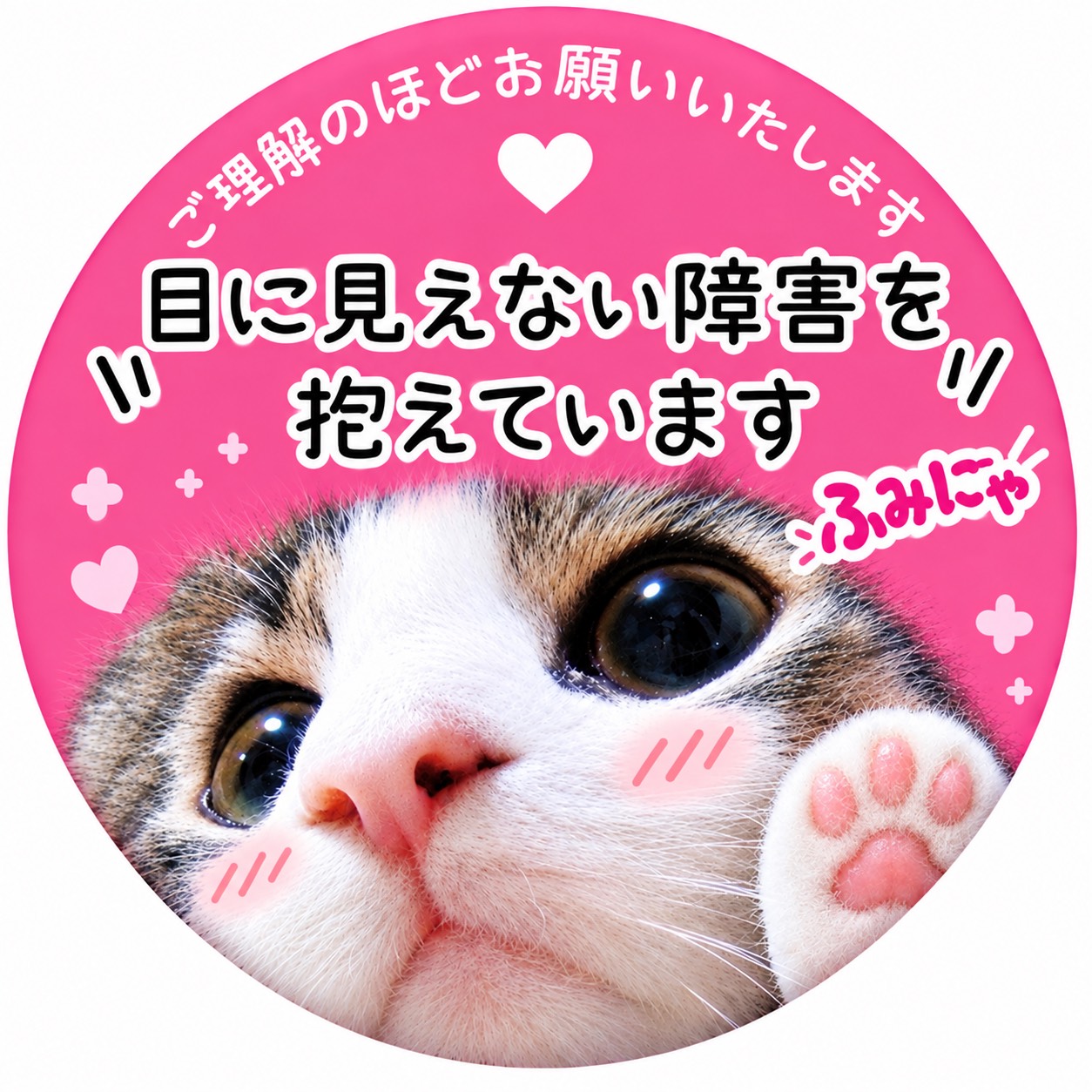 ふみにゃ（うたが好き🐱）