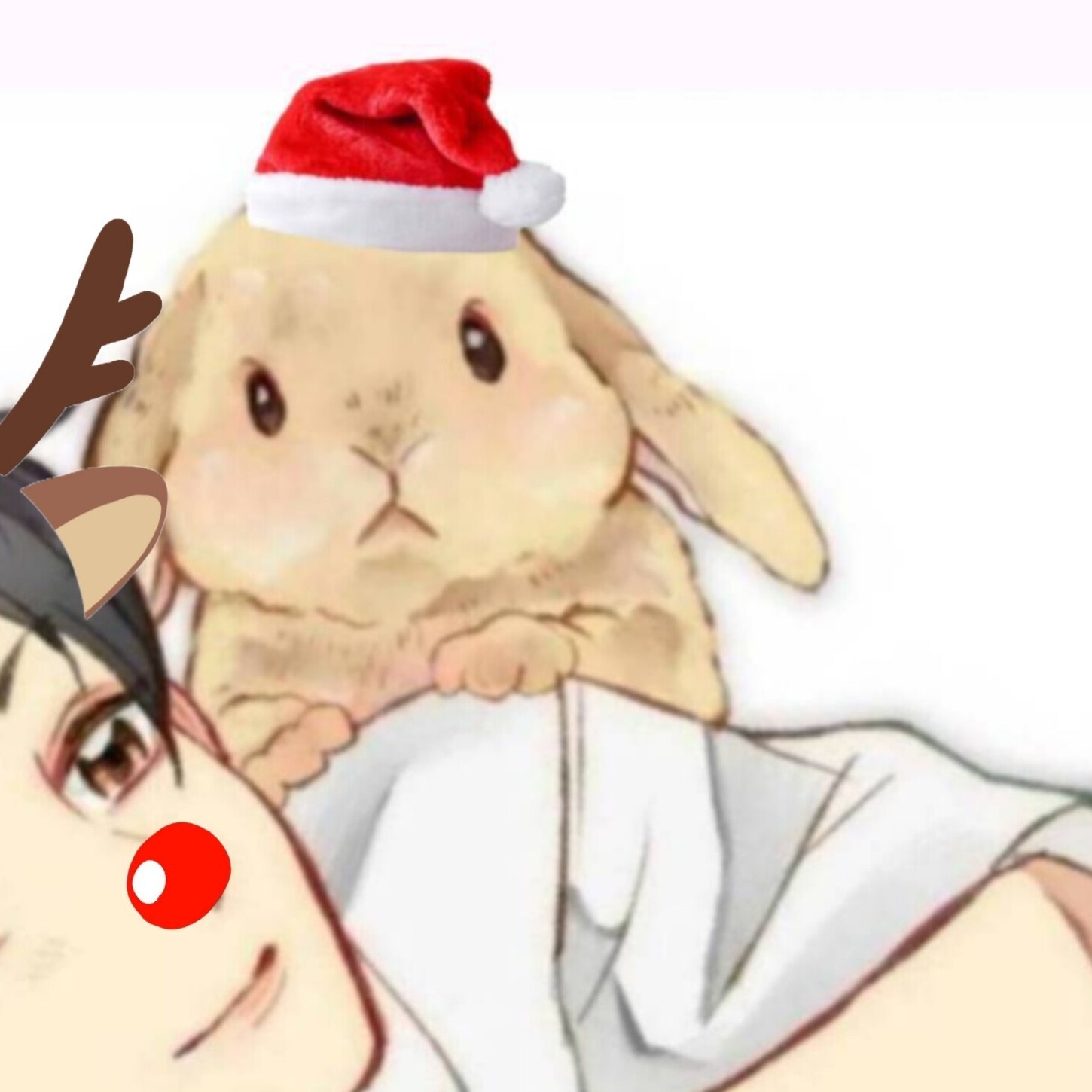 U･×)パパろっぷ м೨̣̥