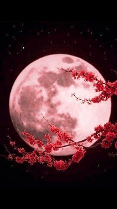 出戻り🌙·̩͙‪⋆͛✿.•🧁*.゜