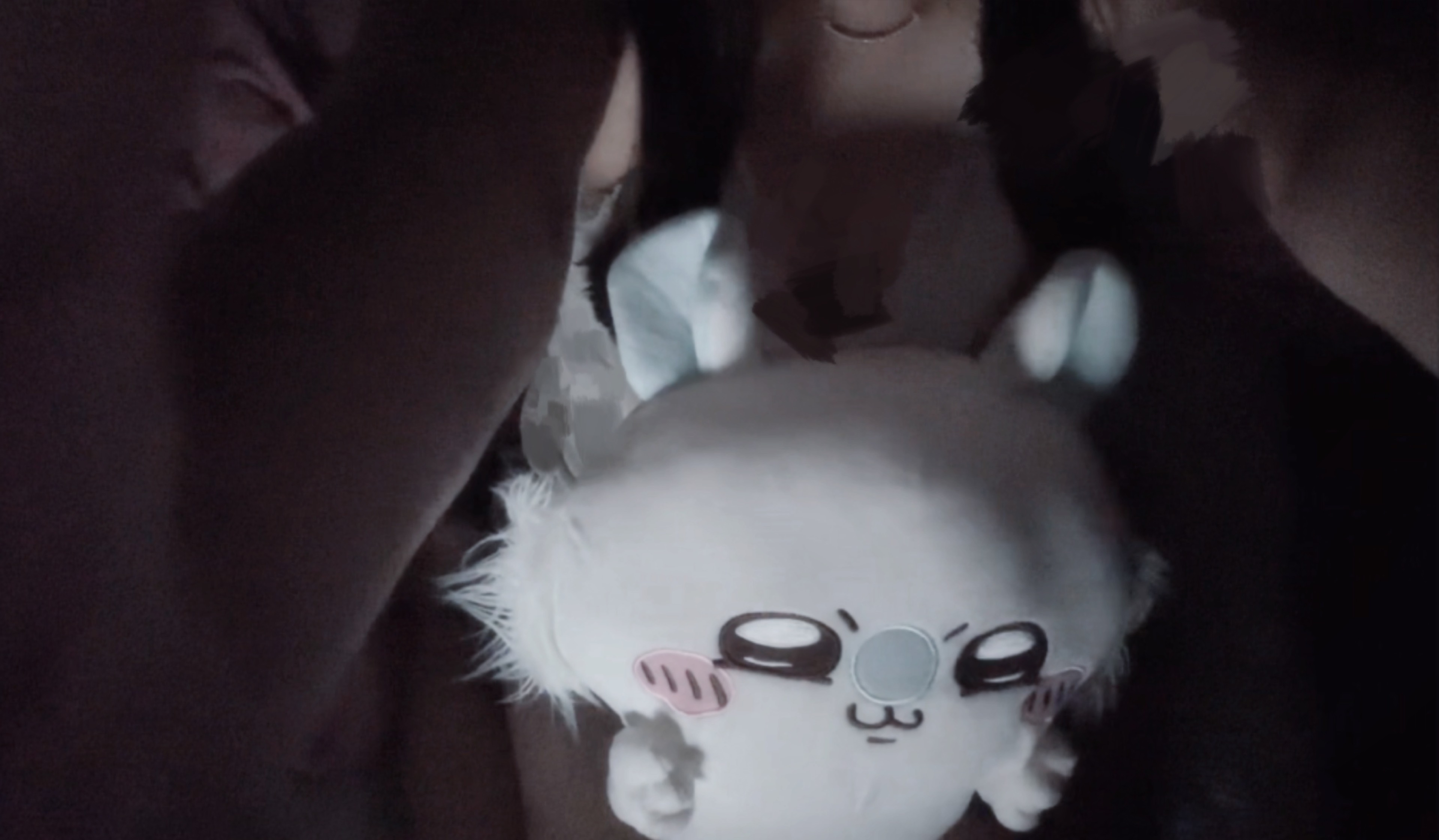蝶紐