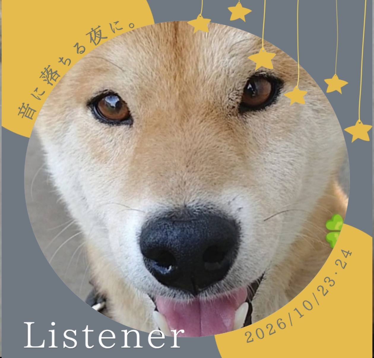 うさまめ 