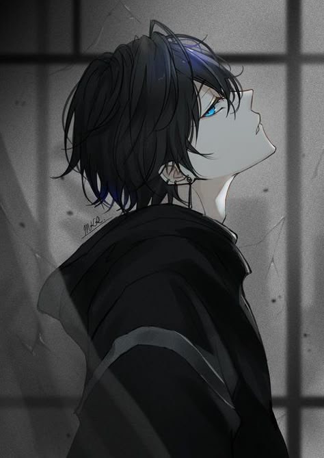 黒猫