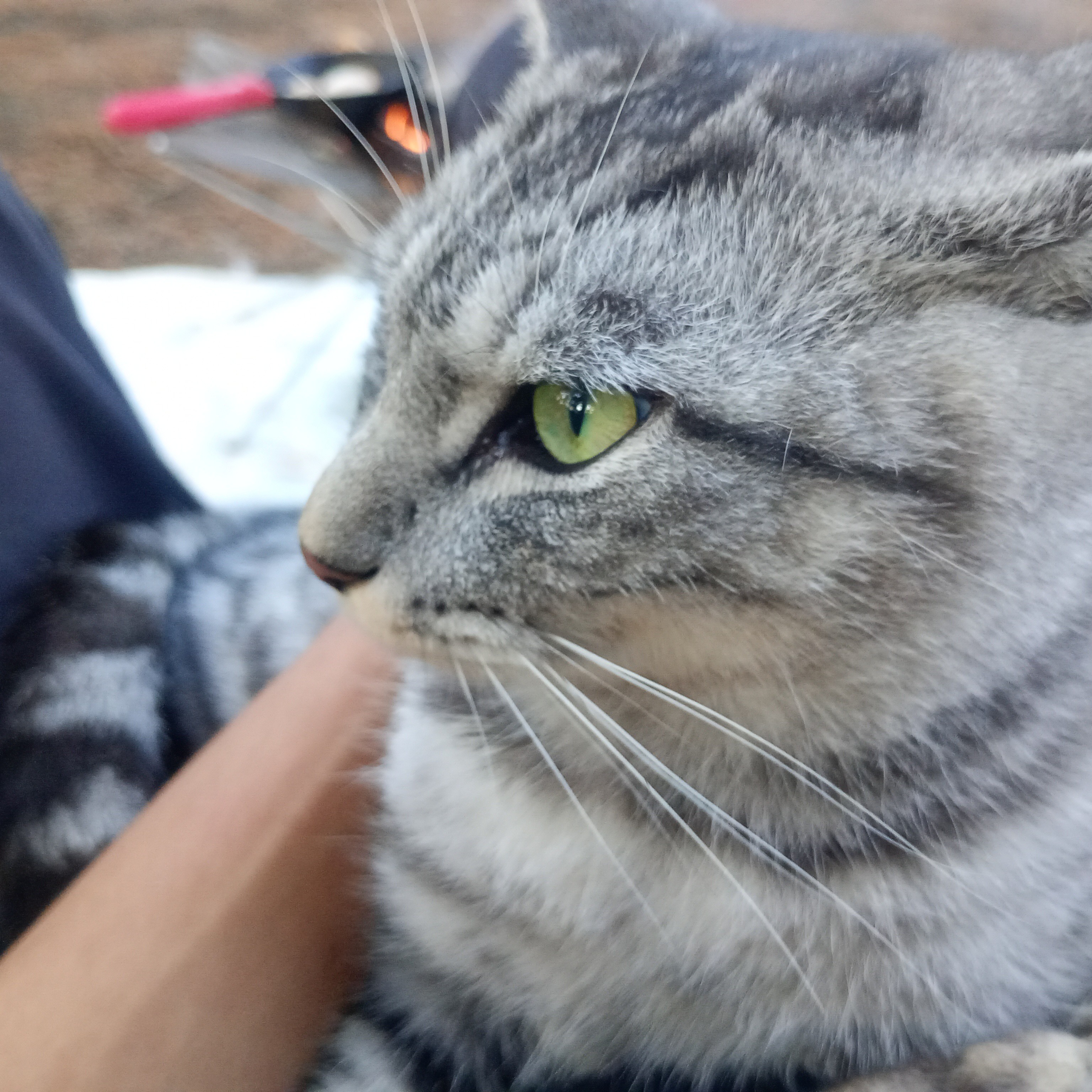 ゆうた(こつぶ)