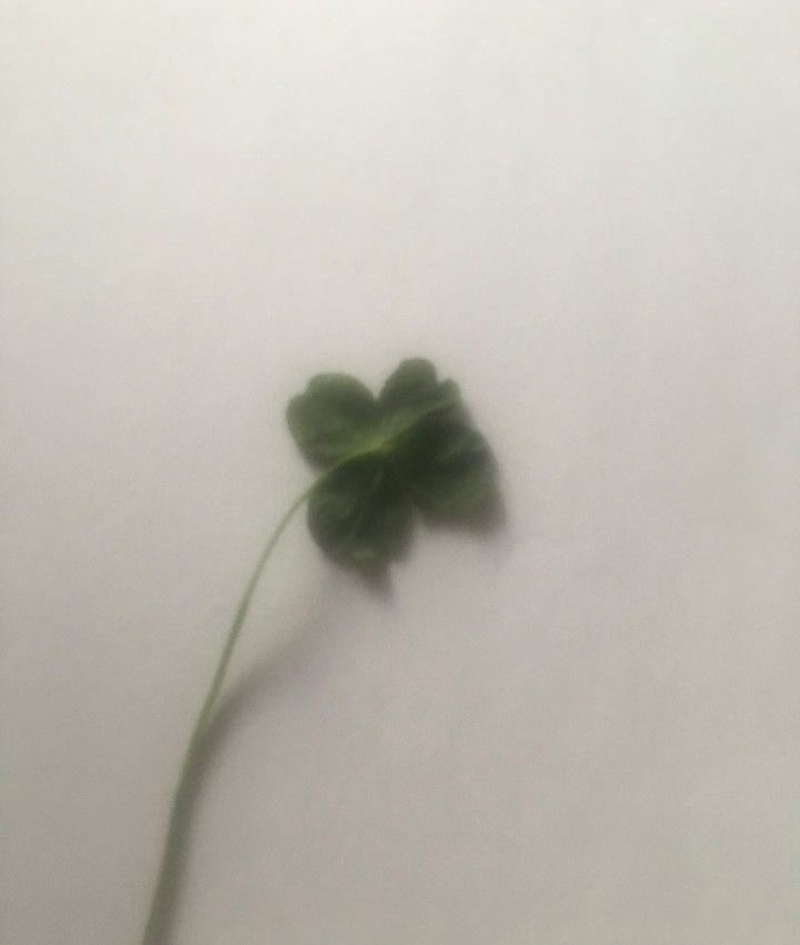 7g