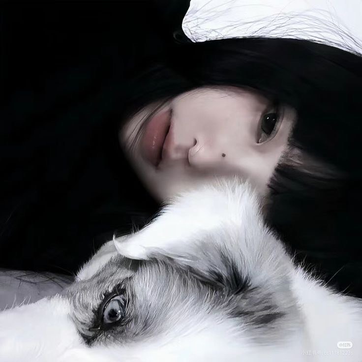 李 琉゛