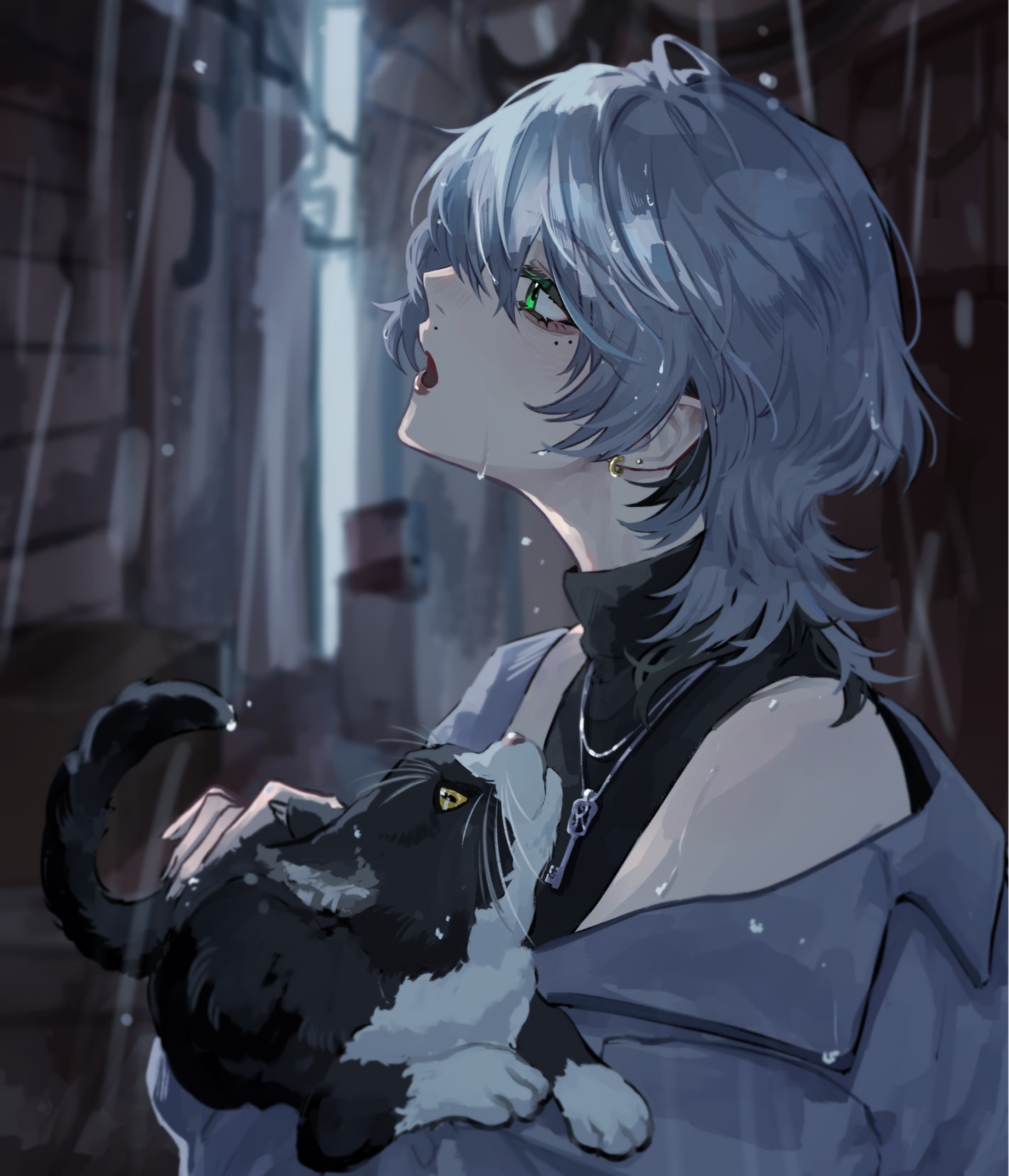 黒猫かぎしっぽ