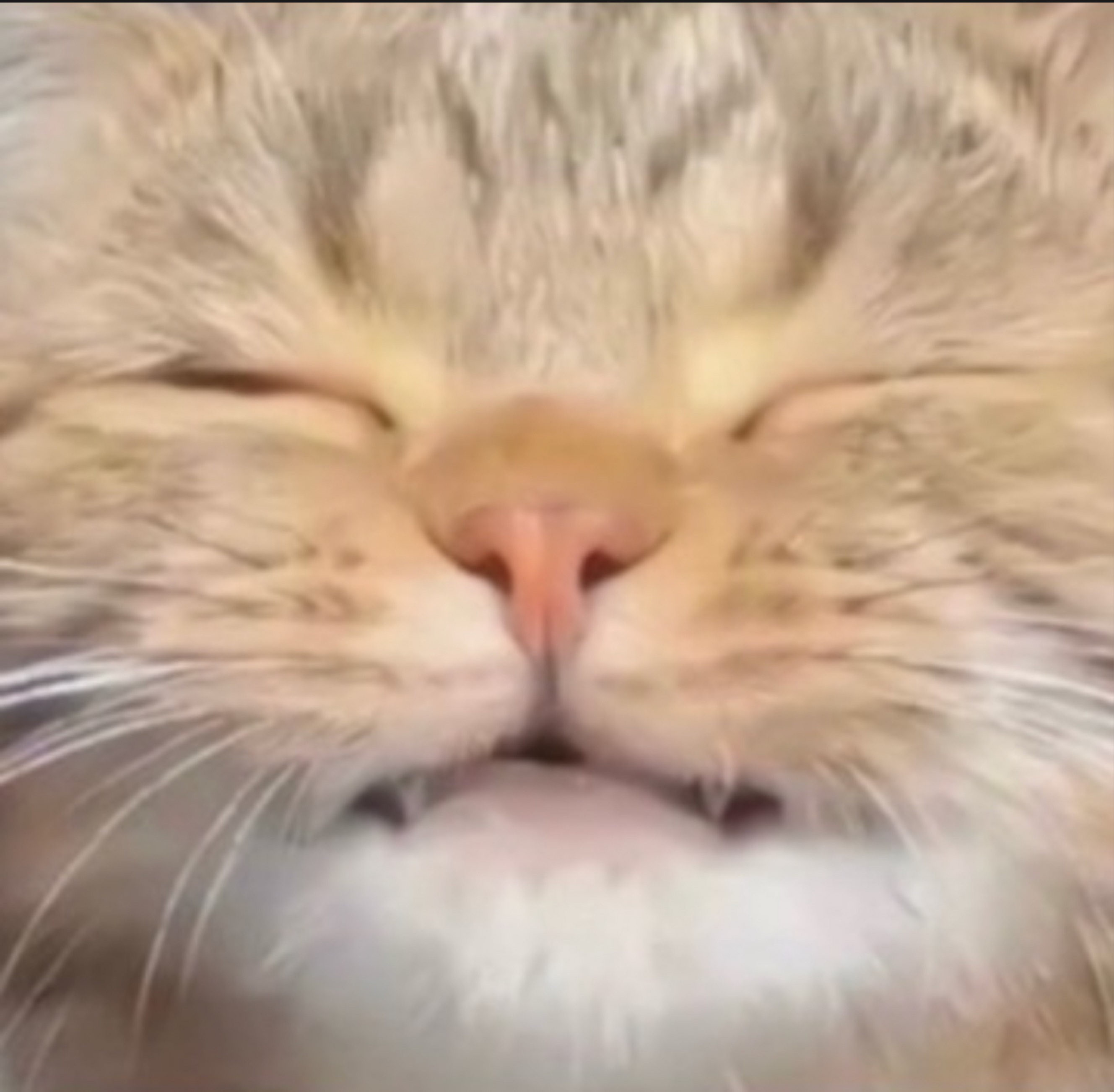 碧@うがぁㅤㅤㅤㅤㅤㅤㅤㅤㅤㅤㅤㅤㅤ 。