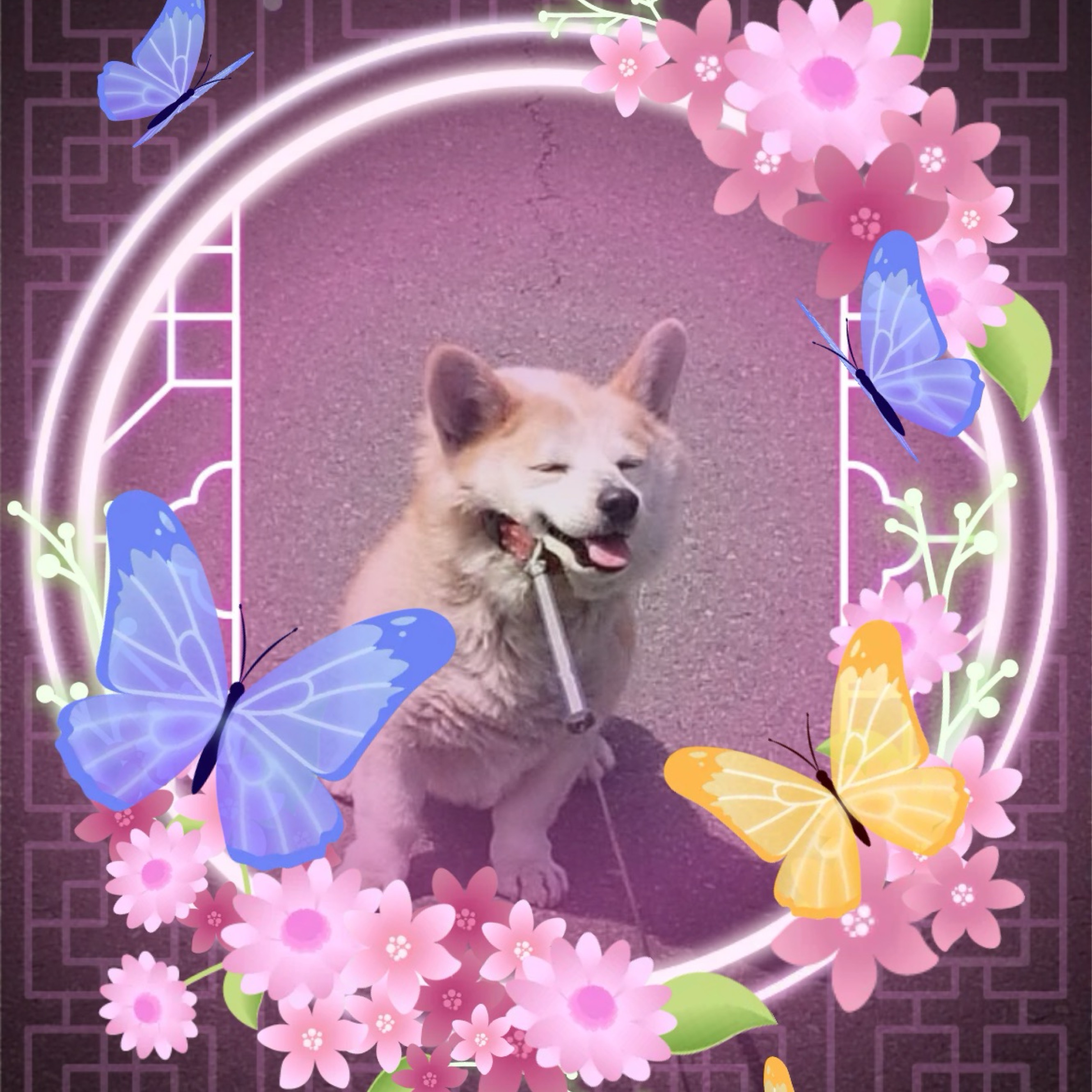 ð©.᩺ ç¬æ¡á©