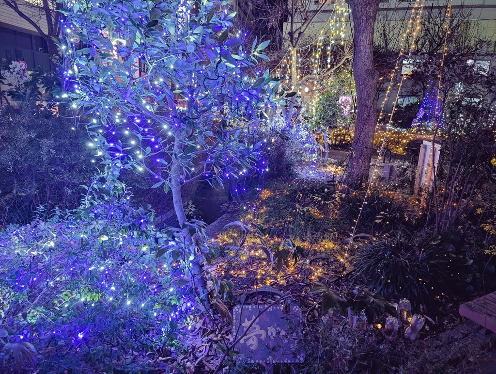 ☁ToMoﾎﾟｮ 🌱🐟𓅿⑅⋆⁰¹¹