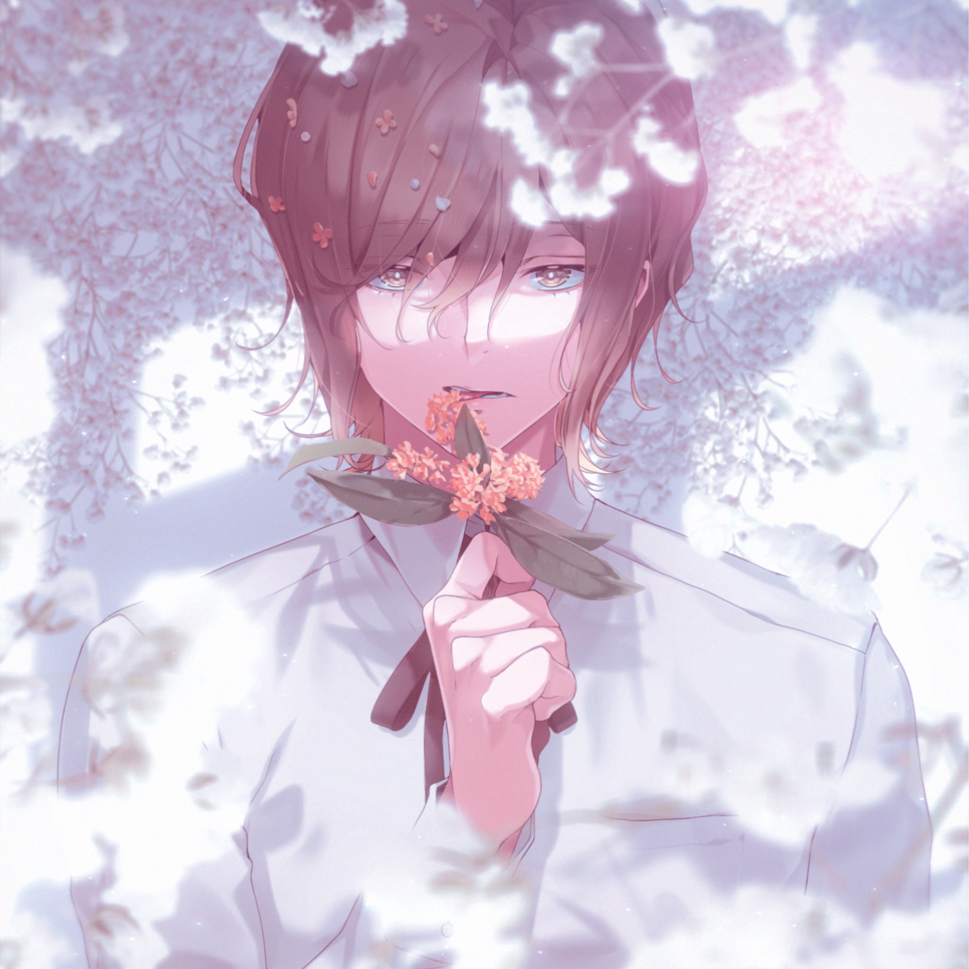 *☕甘味屋ぽぽたん